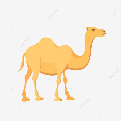 Safari Vector, Vector Free Png, Free Png Downloads, Padang, Free Png, Png Images, Camel, Vector Free, Free Download