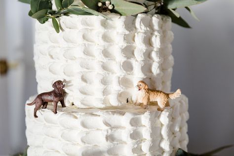 Wedding Cake With Golden Retriever, Wedding Cake With Dog, Single Layer Wedding Cake, Puppy Reveal, Cake With Dog, Wedding Cakes Dog, Golden Retriever Wedding, Ideas Casamiento, Cake Dog