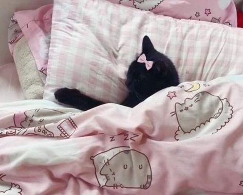 so sleepy and eepy So Sleepy, Pink Bed, Sleepy Kitty, Kitty, Bed, Pink