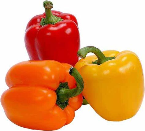 stuffed bell peppers - from wellness mama Healthy Stuffed Bell Peppers, Paleo Stuffed Peppers, Low Acid Diet, Wellness Mama, Bell Pepper Recipes, Fast Metabolism Diet, Grain Free Recipes, Peppers Recipes, Dog Treat Recipes