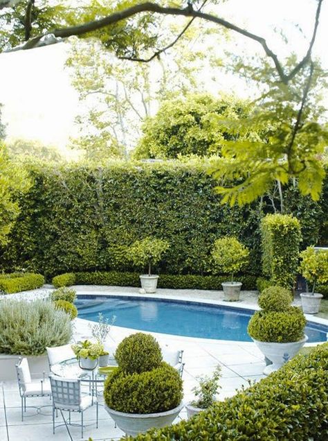 The elements of Timeless California Style - neutrals layered with the historical decorative elements of the early Spaniards - today on Hadley Court Pool Privacy, Kleiner Pool Design, Small Backyard Pool, Oval Pool, Privacy Hedge, Zsazsa Bellagio, Barbara Barry, Small Pool Design, Small Pools