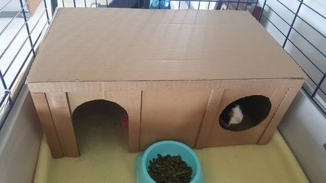 Diy Guinea Pig Toys, Diy Guinea Pig Cage, Guinea Pig Diy, Guinea Pig Hutch, Hamster Diy, Guinea Pig Accessories, Pig Toys, Guinea Pig House, Pig Stuff