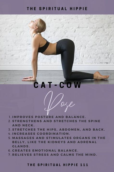 Cat Cow pose is an excellent stretch for upper back, neck and shoulder tension; the abdominals, lower back and hips, and mid-thoracic tension. It's also an excellent warm-up for the entire spine and associated muscles. Yoga Cow Pose, Cat Pose Yoga, Cow Pose Yoga, Cat Cow Yoga Pose, Belly Fat Yoga, Bed Yoga Poses, Mckenzie Exercises, Somatic Exercise, Yoga Class Plan