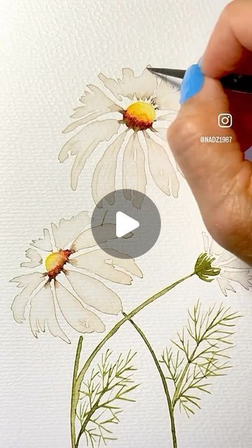 Nadia Sacchetto’s Watercolor Art on Instagram: "Welcome back summer daisies 🌼
Happy Thursday Friends. 
Welcome to all my new followers. 

🌼💛🌼💛🌼💛🌼💛🌼

Artist 👩‍🎨 - follow me for more @nadz1967 
Paints @winsorandnewton 
Paper @artnfly 
Brushes @silverbrushltd sizes 0,2,and 6

🌼💛🌼💛🌼💛🌼💛🌼

🌼💛

🌼💛

🌼💛

🌼💛

🌼💛

#weekend 
#repost 
#daisy 
#new #chill 
#weekend 
#weekendvibes 
#mood 
#motivation 
#motivateothers 
#inspire 
#inspiredaily 
#dailyart 
#dailyinspiration 
#daily 
#design #watercolour 
#artist 
#artoftheday 
#artistsoninstagram 
#paintingoftheday 
#paintingforsale 
#watercolorforbeginners 
#artgallery #artreelsforinstagram #instaart #instagood #instamood #reels #reelsinstagram" Daisy Flower Watercolor, Watercolor Daisy Tutorial, Painting Flowers Watercolor, Daisy Watercolor, Simple Watercolor Flowers, Watercolor Daisy, Painting Flowers Tutorial, Learn Watercolor Painting, Watercolor Flowers Tutorial