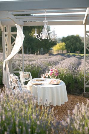 Jihan Cerda Photography Romantic Dinner For Two, Farm Photo, Lavender Farm, Lavender Fields, Sweetheart Table, Romantic Dinners, Outdoor Dining Area, Al Fresco Dining, Lavender Flowers