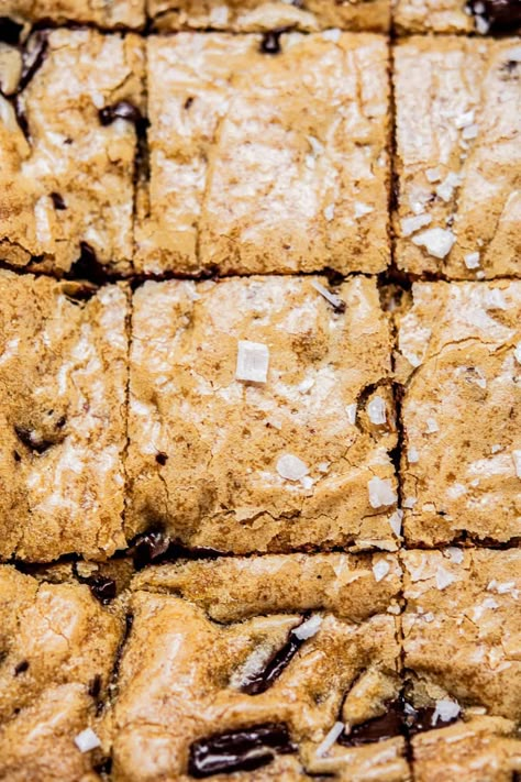 Sourdough Bar Cookies, Sourdough Cookies Discard, Sourdough Chocolate Chip Cookie Bars, Sourdough Discard Protein Bars, Sourdough Discard Cookie Bars, Sourdough Discard Granola Bars, Sourdough Cookie Bars, Sourdough Bars, Sourdough Blondies