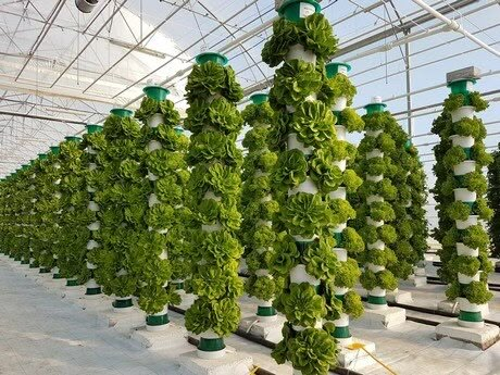 Traditional Greenhouses, Indoor Farming, Hydroponic Farming, Crop Production, Vertical Farming, Agricultural Land, Tower Garden, Hydroponics System, Hydroponic Gardening