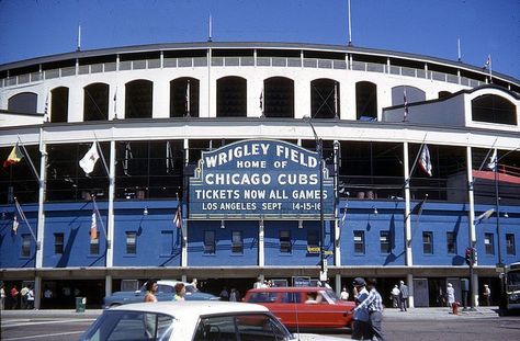 1962 Wrigley Field Front Home of the Chicago Cubs Wriggly Field, Wrigley Field Chicago, Chicago Sports Teams, Chicago Pictures, Mlb Stadiums, Cubs Win, Men Cave, Field Wallpaper, Baseball Park