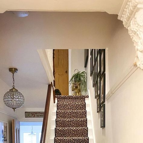 Laura | Leopard Print Stairs on Instagram: "Let’s hear it for the stairs 👏🏻 🐆 

Worth being admired from every angle, so here she is, all 30 steps and the landings in between…

I hope you’re had lovely weekends? Early nights for us tonight as we’ve lots planned for the week ahead…

#leopardprint 
#leopardcarpet 
#leopardprinteverything 
#hallwayinspo 
#victorianterrace 
#hallwaydecor 
#victorianhouse 
#entrancehalldesign 
#periodhome 
#periodhomesofinsta 
#leopardprintdecor 
#a_e_s_t_h_e_t_i_c 
#maximalistinteriors 
#maximalistdecor 
#interiordesigner 
#interiorstyling 
#artinmyhome 
#statementart 
#farrowandballstrongwhite 
#myhomevibe 
#originalfeatures 
#stairrunner 
#originalfloorboards
#statementinteriors 
#myinteriorstyletoday 
#homeaccountuk 
#interioraccount
#apartmenttherapy 
# Leopard Carpet, Leopard Print Decor, Victorian Terrace, Maximalist Decor, Statement Art, Stair Runner, Entrance Hall, Hallway Decorating, Apartment Therapy