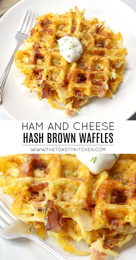 Waffle Savory, Waffle Maker Recipes Breakfast, Hash Brown Waffles, Iron Meals, Mini Waffle Recipe, Savory Waffle Recipe, Crepes Pancakes, Dash Recipes, Hashbrown Waffles