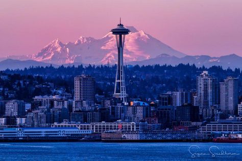 Think Seattle is grey in the winter? Think again. Los Angeles Aesthetic, Seattle Photos, Seattle Photography, Seattle Travel, Sleepless In Seattle, Seattle City, Seattle Homes, Think Again, American Cities