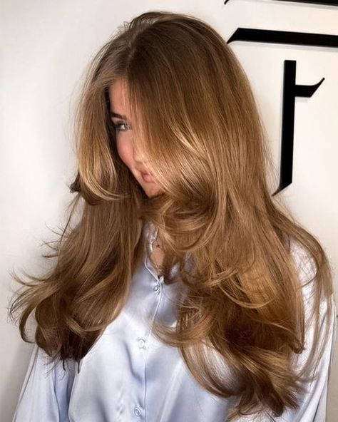 Rambut Brunette, Feminine Hairstyles, Honey Brown Hair, Vacation Hairstyles, Brown Hair Inspo, Honey Blonde Hair, Blonde Hair Inspiration, Blowout Hair, Honey Hair