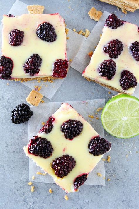 Blackberry Lime Bars are made with a creamy, lime filling, fresh blackberries, and an easy graham cracker crust. Easy Graham Cracker Crust, Two Peas And Their Pod, Pizza Sugar Cookie, Blackberry Recipes, Lime Bars, Bars And Cookies, 4th Of July Desserts, Bars Cookies, Oatmeal Bars