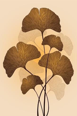 size: 12x8in Photographic Print: Ginkgo Biloba Leaves Vector Illustration by Andry Djumantara : Ginkgo Biloba Illustration, Ginko Leaves, Leaves Artwork, Cool Arm Tattoos, Gingko Leaves, Lino Cut, Leaf Drawing, Leaves Design, Leaves Vector