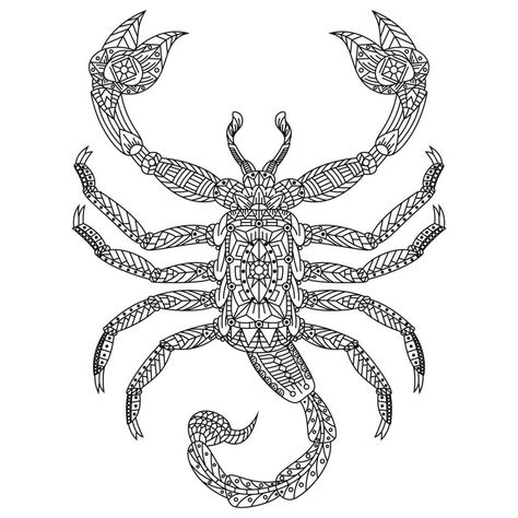 Scorpion line art Scorpion, Vector Art, Line Art, Vector Free, This Is Us, Royalty Free, Clip Art, Art, Design