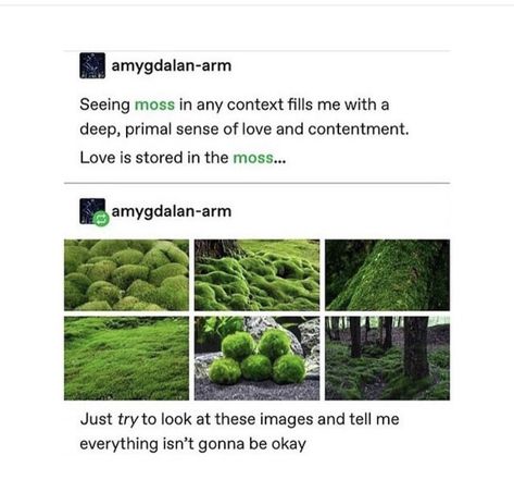 Goblincore Guide, Goblin Forest, Goblincore Images, Goblincore Aesthetic Moodboard, Goblincore Tumblr, Goblincore Tumblr Posts, Goblin Aesthetic, Goblincore Aesthetic, Goblincore Memes Funny