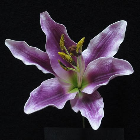 Lillies Purple Tiger, Yard Plants, Purple Lily, Stargazer Lily, Flower Meanings, Cake Flowers, Nothing But Flowers, Planning Tools, Wedding Flower Decorations