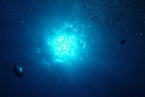 Love seeing sun on underwater. Sun Underwater, Underwater Lighting, Reference Pics, Swan Song, Where Is My Mind, Underwater Lights, Finding Peace, Twinkle Twinkle, Art Reference