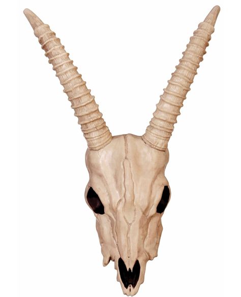 🚨Unleash your wild side with the fierce and stylish Skeleton Gazelle Head! 🦌🔥 Transform any space into a statement with this unique piece. 💀🖤 Don't miss out on this must-have decor item! 😍 #skeletongazellehead #wildandfree #statementpiece #homedecor #trendingnow #musthave #fierce #unique #skullart #interiordesign #bargainsdelivered Shop Now https://www.bargainsdelivered.com/products/skeleton-gazelle-head Gazelle Skull, Haunted Manor, Cb Radios, Edgy Accessories, The Departed, Hitch Accessories, Skeleton Skull, Skull Halloween, Halloween Skull