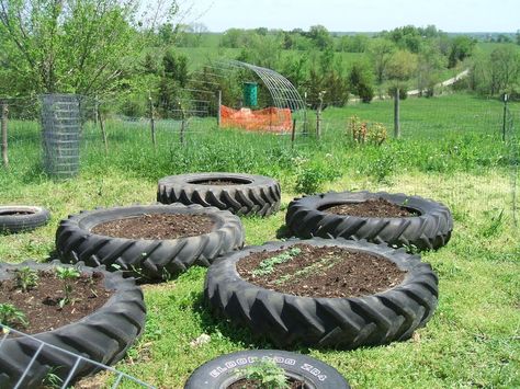 Use tires as raised garden beds Butterfly Garden Plants, Tire Garden, Vegetable Planters, Tractor Tire, Recycled Garden, Personal Defense, Pepper Plants, Hobby Farms, Veggie Garden