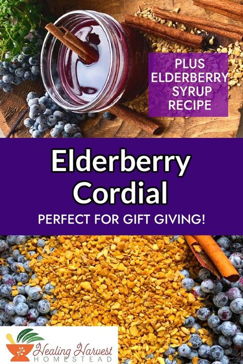 I'm still trying to think of gift ideas for my family. This year I think I'm going to try giving them some of this delicious elderberry & echinacea cordial! This cordial has a long shelf life, so it is perfect for giving and will even support their immune systems. If you aren't ready for a cordial, I made this recipe with my elderberry syrup so you can even leave the alcohol out if you want. #elderberrysyrup #elderberrycordial #holidaygiftideas #dailytonic #naturalmedicine Elderberry Liquor, Elderberry Cocktail, Elderberry Honey, Elderberry Syrup Recipe, Cordial Recipe, Herbal Tonic, Herbal Salves, Healthy Herbs, Elderberry Syrup