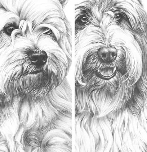 Negative Drawing, Drawings Of Dogs, Dog Face Drawing, How To Draw Fur, Tatoo Dog, Dog Drawing Tutorial, Dog Portraits Art, Drawings Tutorials, Pencil Drawing Tutorials