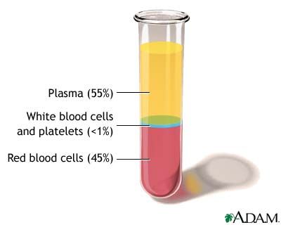 imagen Platelet Rich Plasma Therapy, Blood Components, Blood Plasma, Medical Laboratory Science, Platelet Rich Plasma, White Blood, Phlebotomy, Nursing Tips, Laboratory Science