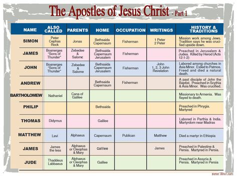 The Apostles of Jesus Christ – 1 12 Deciples Of Jesus, 12 Apostles Of Jesus, Biblical Timeline, Peter Bible, Apostles Of Jesus, Twelve Disciples, 12 Disciples, Sunday Plans, Bible Charts