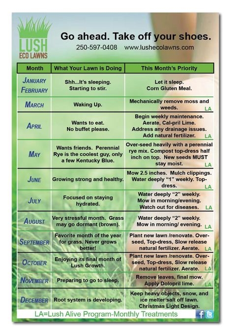 Lawn care calendar  www.lushecolawns.com Reseeding Lawn, Fall Lawn Care, Fall Lawn, Lawn Care Schedule, Lawn Care Business, Yard Maintenance, Diy Lawn, Landscaping Business, Lawn Care Tips