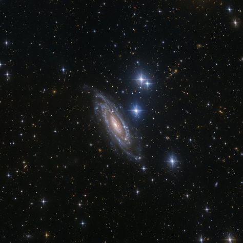 Big, bright stars are sprinkled around the galaxy NGC 1964 in this image from the European Southern Observatory's telescope in La Silla, Chile. Stars And Spirals, Anime Galaxy, Spiral Galaxy, Aesthetic Board, Space Odyssey, Space Photos, Space Images, Space Pictures, Story Board