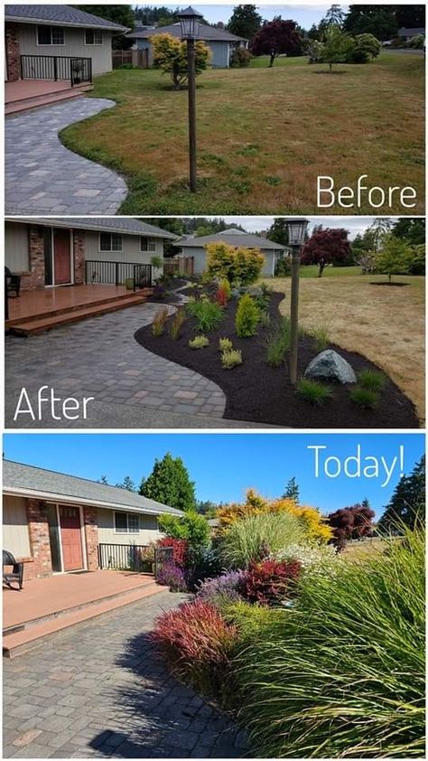 Low Maintenance Landscaping Ideas, Landscaping Low Maintenance, Low Maintenance Front Yard, Yard Inspiration, Ideas For Front Of House, House Hacks, Walkway Ideas, Front Yard Landscaping Plans, Landscaping With Large Rocks