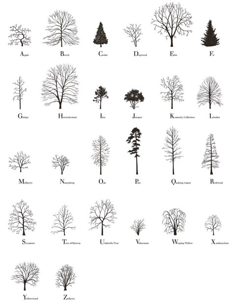 The Tree Alphabet was made by Katie Holten and was used in her book, About Trees (Amazon), which features writing from Jorge Lui... Tree Alphabet, Sketchbook Architecture, About Trees, Public Artwork, Tree Sketches, Architecture Sketchbook, Tree Drawing, Tree Tattoo, Architecture Presentation