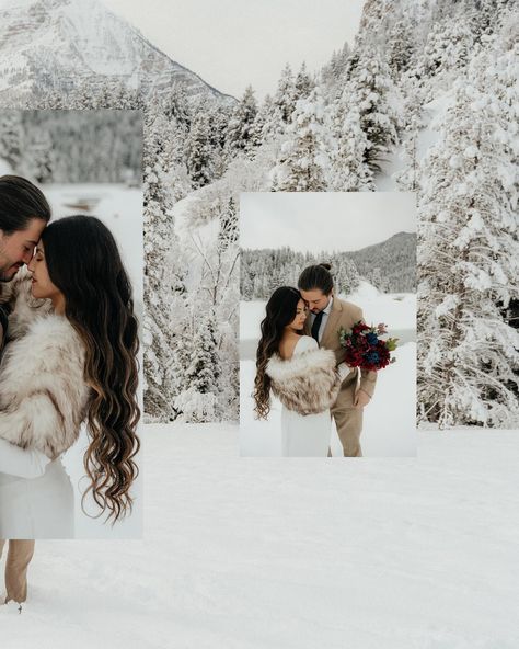 Anyone else obsessed with the fur coat trend?? Such a cute way to make winter Bridals so much fun!! #utahphotographer #idahophotographer #Idswedding #Idsweddingphotographer #utahweddingphotographer #idahoweddingphotographer #familyphotography #familyphotos #maternityphotography #maternityshoot #engagement #engagementphotos #engagements #portraitphotography #coupleshoot #couplesphotography #utah #utahwedding #travelingphotographer #elopement #elopmentphotographer #bride #2024bride #utahbride ... Fur Coat Engagement Photos, Save The Date Winter Photo Ideas, Fur Maternity Shoot, Utah Winter Engagement Photos, Snowy Engagement Photos With Dog, Utah Bride, Coat Trends, Houston Wedding Photographer, Winter Engagement Photos