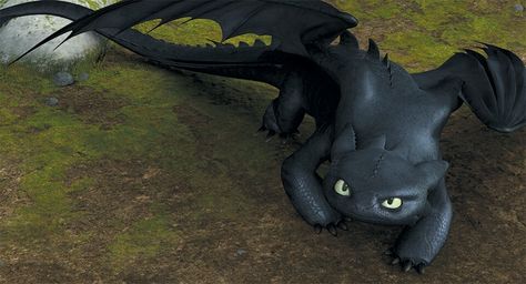 Toothless' angry face. Night Fury, Train Your Dragon, How To Train, Toothless, How To Train Your Dragon, How To Train Your, Dreamworks, Amigurumi, United States