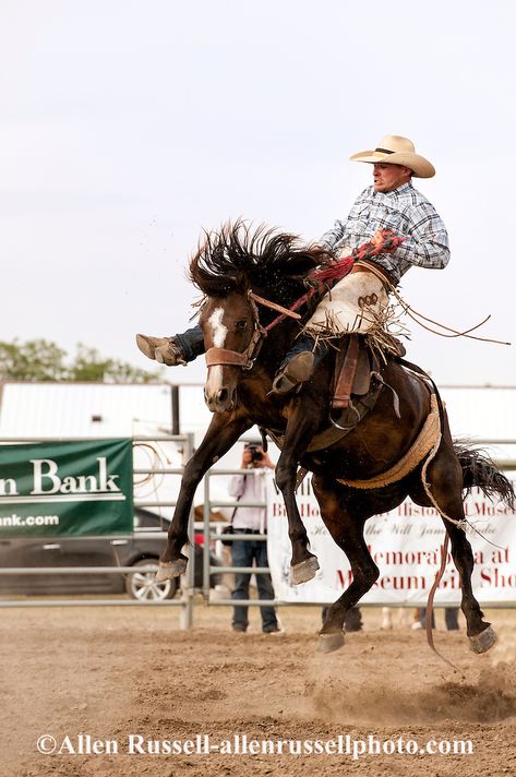 Ranch Bronc Riding at Will James Roundup in Hardin Montana Ranch Rodeo | Allen Russell Photography Steer Wrestling, Buck Brannaman, Cow Milking, Cowboy Books, Bareback Riding, Saddle Bronc, Bucking Bulls, Bronc Riding, Montana Ranch