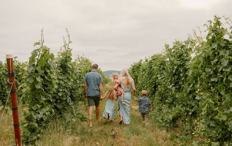 Family walking away in a vineyard Vineyard Family Photoshoot, Vineyard Photoshoot, Vineyard Photography, Italian Vineyard, Grape Vineyard, Moody Photography, Photography Poses Family, Family Photo Pose, Family Of 4