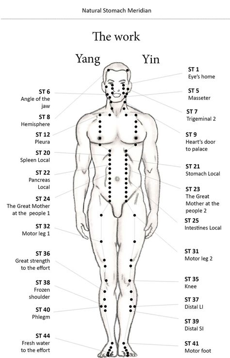 Stomach N. Meridian - ECAN International school of acupuncture - Learn Acupuncture in India. Next Course November 2016 Chinese Acupuncture Points, Stomach Meridian Points, Acupuncture School, Stomach Meridian, Acupressure Points Chart, Acupressure Chart, Meridian Acupuncture, Traditional Chinese Medicine Acupuncture, Acupuncture Points Chart