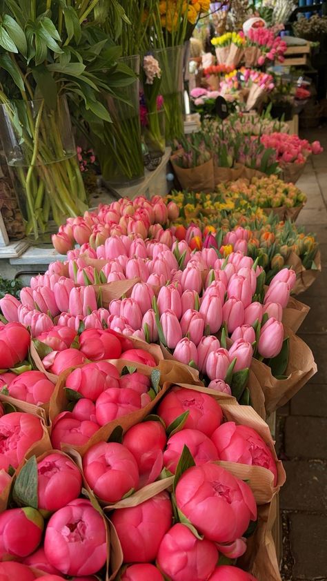 pink peonies & tulips🌷 Peonies And Tulips, Peony Tulips, Pink Tulips Bouquet, Boquette Flowers, Tulip Bouquet, Nothing But Flowers, Peonies Bouquet, Flower Therapy, Pink Tulips