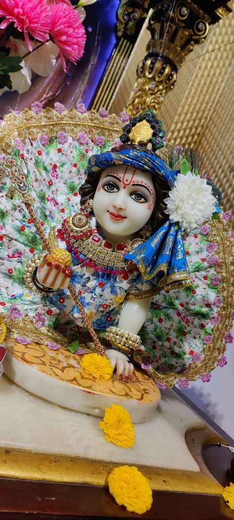 Krishna, laddugopal, little krishna, balgopal, bake bihari, govind, thakurji Krishna Little, Bake Bihari, Shree Krishna Wallpapers, Krishna Wallpapers, Little Krishna, Heart Pictures, Krishna Wallpaper, Shree Krishna, Photo Art Gallery