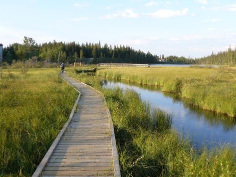 Alberta Travel, Wetland Park, Canada Road Trip, Water Projects, Brick Architecture, Community Park, Water Element, Walking Trails, Tourist Destinations