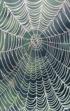 A realistic-looking spider web should have the geometric lines of a real web. Making Spider Webs, How To Make Spider Webs, How To Make A Spider Web, Spider Web Halloween Decorations, Do It Yourself Decoration, Message Ideas, Wire Spider, Spider Drawing, Big Spiders