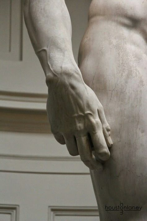 Body Sculpture Aesthetic, Statue Of David Aesthetic, David Statue Wallpaper, David Core, David Of Michelangelo, The David Statue, The Statue Of David, Statue David, Michelangelo Sculpture