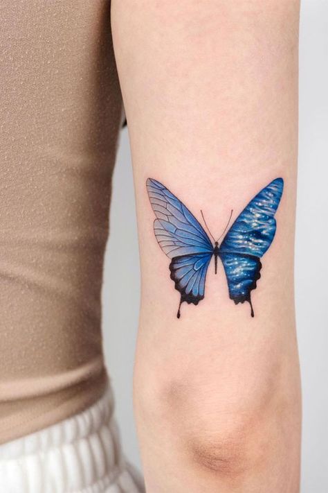 Blue Butterfly Tattoo Meaning, Cute Butterfly Tattoos, Men Torso, Evil Butterfly, Tattoo Printable, Meaning Symbols, Huge Butterfly, Japanese Butterfly, Grunge Butterfly