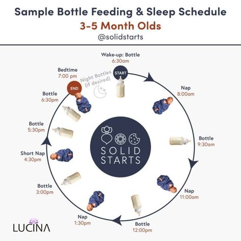 Baby is likely bottle-feeding six to eight times per day, with most still taking one or more bottles during the night. Structure the day with baby to introduce the idea of food, eating, and family mealtimes—even before starting solids. There is no need to implement a firm schedule; however, a flexible but consistent daily routine is helpful for both baby and parents. Baby is likely awake for about 1.5 hours at a time and many babies will nap three or four times a day. 9 Month Old Baby Food, Solid Starts, Baby Solid Food, Teaching Babies, 9 Month Old Baby, Baby Routine, Baby Feeding Schedule, Baby Schedule, Baby Sleep Schedule