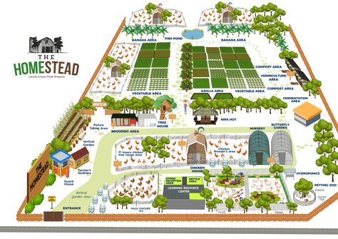 homestead 50 Acre Farm Layout, 40 Acre Farm Layout, Farm Plans Layout Design, 3 Acre Homestead Layout, Farm Design Layout, 10 Acre Homestead Layout, Farm Layout 10 Acres, Chicken Farm Design, Farm Layout Design