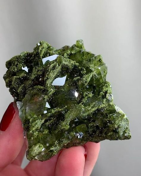 Pacific Minerals on Instagram: "Incredible Fairy Forest Epidote with Quartz Crystals 🌳🧚🧚 Super Sparkly ! #amazing #crystals #pacificminerals" Epidote Crystal, Wavy Hair Care, Vulture Culture, Fairy Forest, Pretty Rocks, Cool Rocks, Gadgets And Gizmos, Forest Fairy, Quartz Crystals