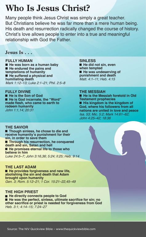 NIV QuickView Bible - Who is Jesus Christ? Passion Week, Quick View Bible, Godly Wisdom, Scripture Writing, Who Is Jesus, Bible Study Help, Bible Facts, Life Quotes Love, Jesus Christus