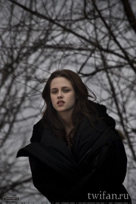 Twilight (2008). Behind-the-Scenes. Kristen Stewart. Bella Swan, Kristen Stewart, Long Hair, Hair, Black