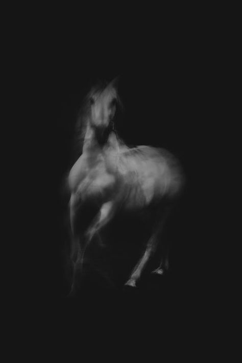 Sprit in the dark on Artfully Walls Dark Horse Aesthetic, Aesthetic Horses, Ghost Horse, Being Held Back, Photography Horse, Equine Artwork, Power Of Imagination, Horse Photographer, Artfully Walls