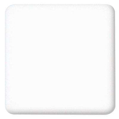 2 in. x 2 in. Solid Surface Countertop Sample in Glacier White Corian Colors, Solid Surface Countertop, Room Improvement, Undermount Stainless Steel Sink, Diy Kitchen Backsplash, Kitchen Technology, Kitchen Design Diy, Kitchen Diy Makeover, Solid Surface Countertops